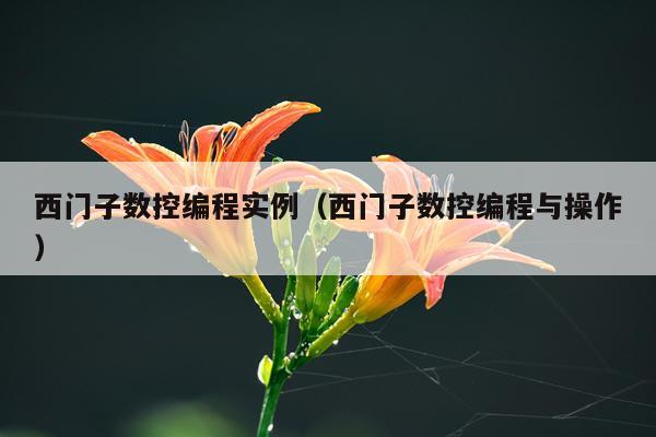 西门子数控编程实例（西门子数控编程与操作）