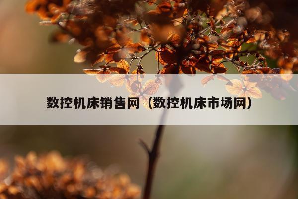 数控机床销售网（数控机床市场网）