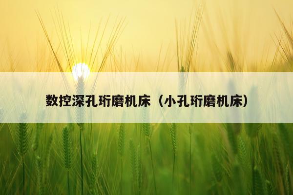 数控深孔珩磨机床（小孔珩磨机床）