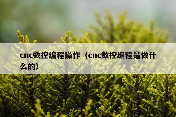 cnc数控编程操作(cnc数控编程是做什么的)