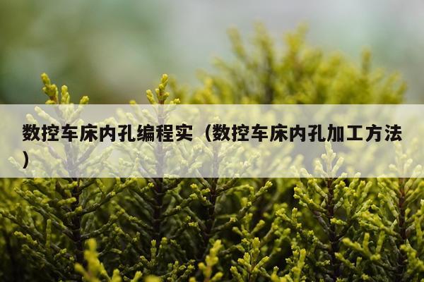 数控车床内孔编程实（数控车床内孔加工方法）