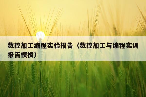数控加工编程实验报告（数控加工与编程实训报告模板）