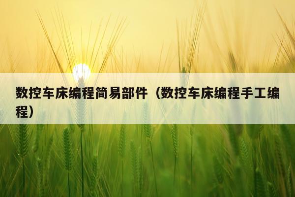 数控车床编程简易部件（数控车床编程手工编程）