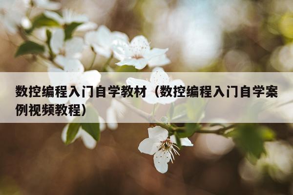数控编程入门自学教材（数控编程入门自学案例视频教程）