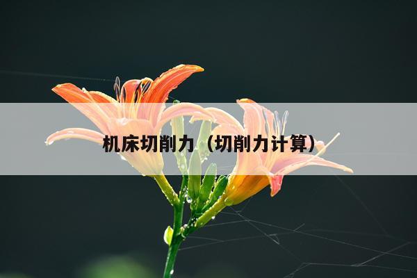 机床切削力(切削力计算)