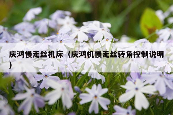 庆鸿慢走丝机床(庆鸿机慢走丝转角控制说明)