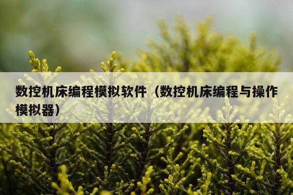 数控机床编程模拟软件（数控机床编程与操作模拟器）