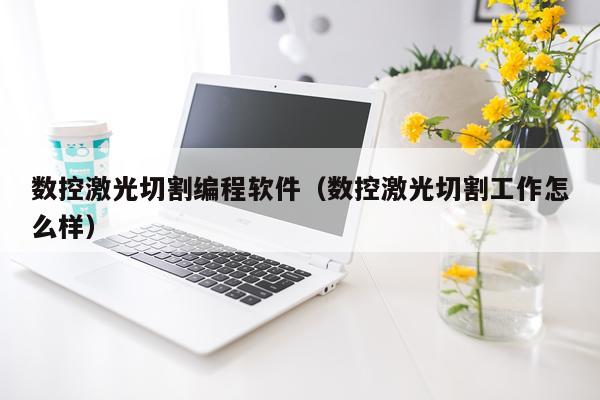 数控激光切割编程软件(数控激光切割工作怎么样)