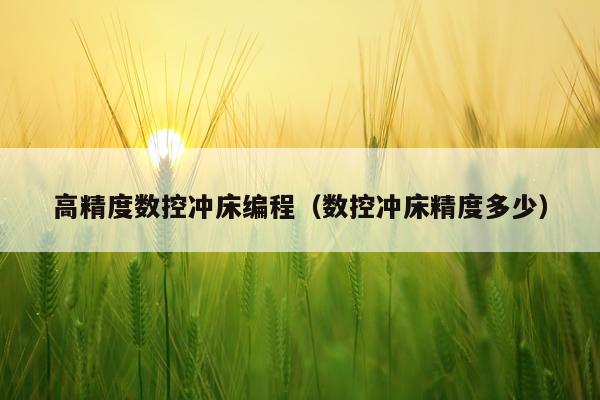 高精度数控冲床编程(数控冲床精度多少)
