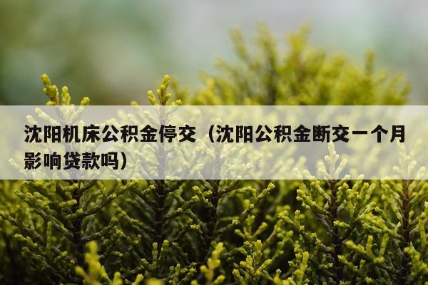 沈阳机床公积金停交(沈阳公积金断交一个月影响贷款吗)