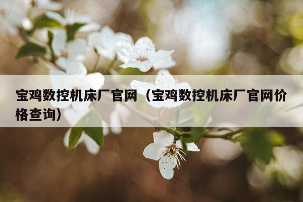 宝鸡数控机床厂官网(宝鸡数控机床厂官网价格查询)