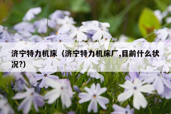 济宁特力机床(济宁特力机床厂,目前什么状况?)