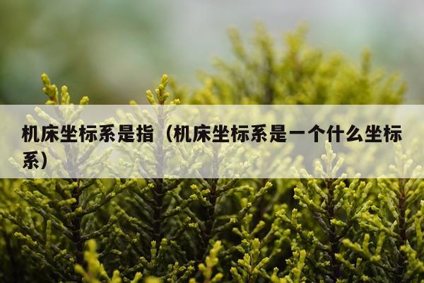 机床坐标系是指（机床坐标系是一个什么坐标系）