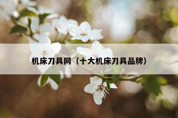 机床刀具网（十大机床刀具品牌）