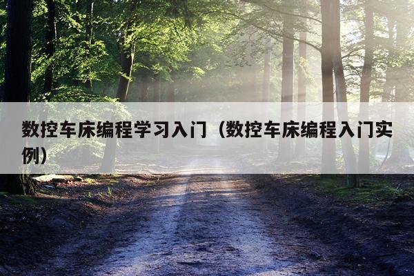 数控车床编程学习入门（数控车床编程入门实例）