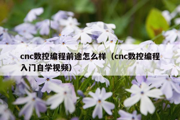cnc数控编程前途怎么样（cnc数控编程入门自学视频）