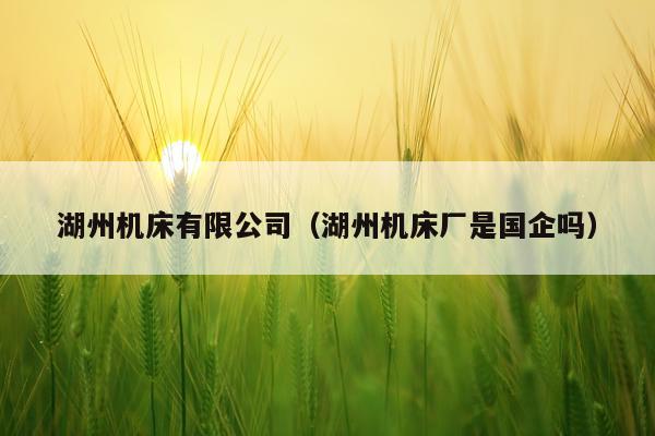 湖州机床有限公司（湖州机床厂是国企吗）