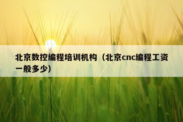 北京数控编程培训机构（北京cnc编程工资一般多少）