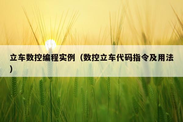 立车数控编程实例（数控立车代码指令及用法）