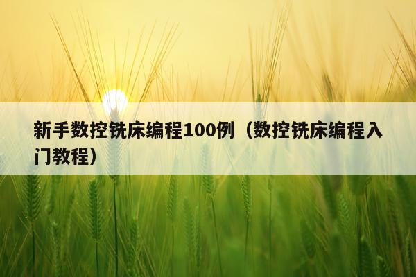 新手数控铣床编程100例(数控铣床编程入门教程)