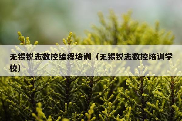 无锡锐志数控编程培训(无锡锐志数控培训学校)
