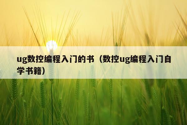 ug数控编程入门的书(数控ug编程入门自学书籍)