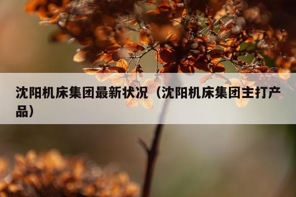 沈阳机床集团最新状况（沈阳机床集团主打产品）