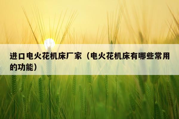 进口电火花机床厂家（电火花机床有哪些常用的功能）