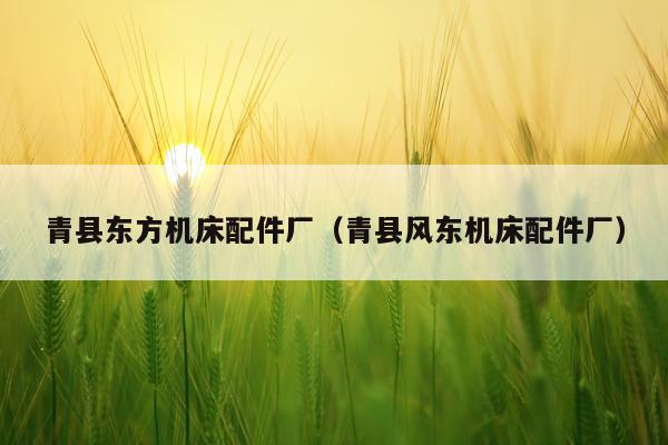 青县东方机床配件厂（青县风东机床配件厂）