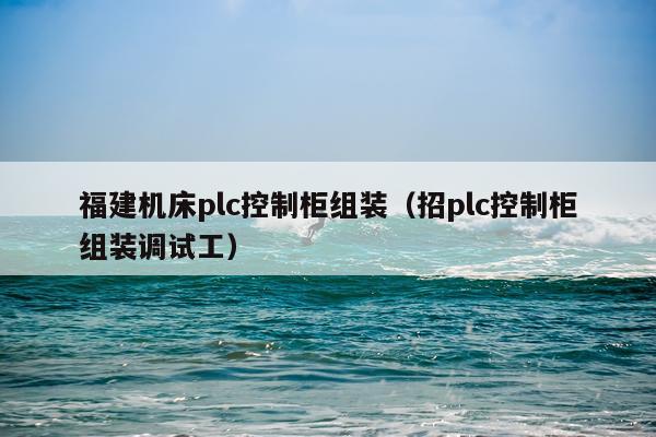 福建机床plc控制柜组装（招plc控制柜组装调试工）