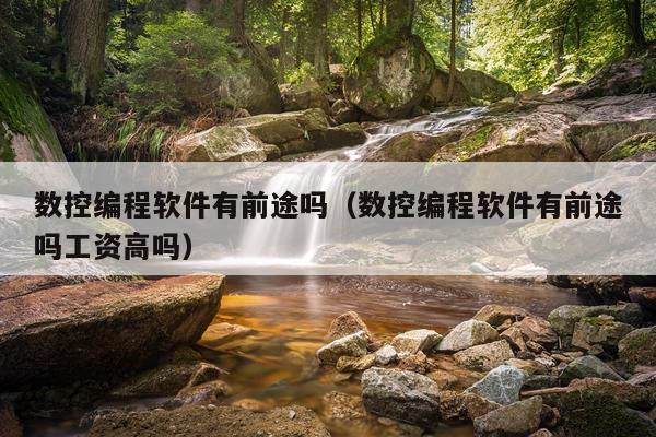 数控编程软件有前途吗（数控编程软件有前途吗工资高吗）