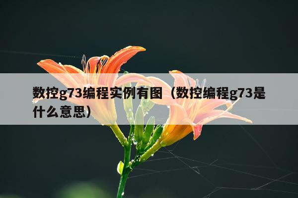 数控g73编程实例有图（数控编程g73是什么意思）