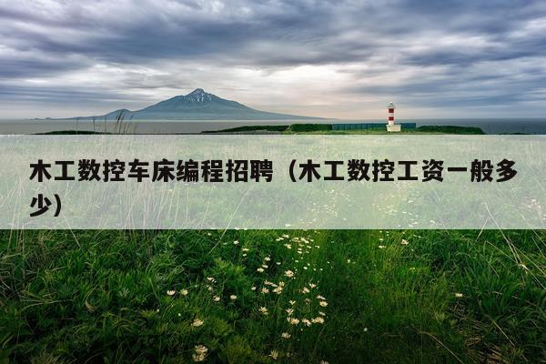 木工数控车床编程招聘（木工数控工资一般多少）