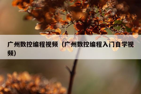 广州数控编程视频(广州数控编程入门自学视频)