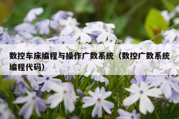 数控车床编程与操作广数系统(数控广数系统编程代码)
