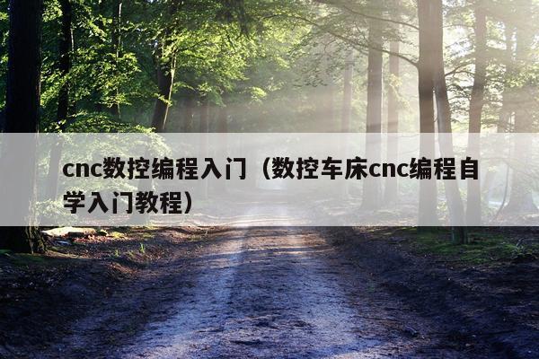 cnc数控编程入门(数控车床cnc编程自学入门教程)