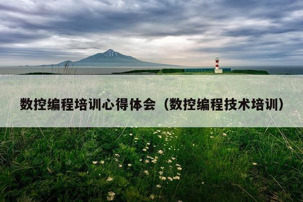 数控编程培训心得体会(数控编程技术培训)