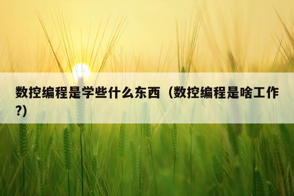 数控编程是学些什么东西(数控编程是啥工作?)