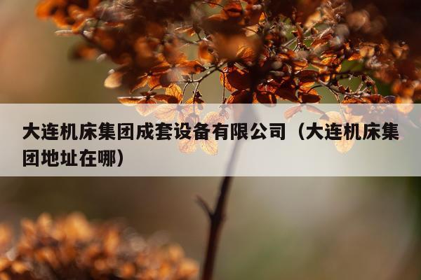 大连机床集团成套设备有限公司（大连机床集团地址在哪）