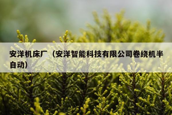 安洋机床厂（安洋智能科技有限公司卷绕机半自动）