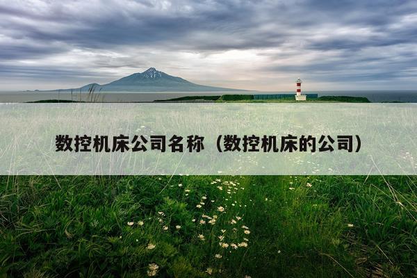 数控机床公司名称（数控机床的公司）