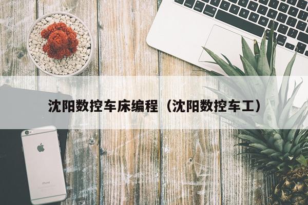 沈阳数控车床编程（沈阳数控车工）