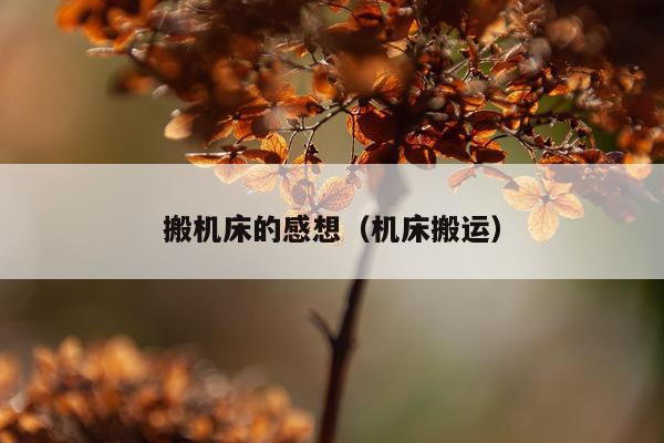 搬机床的感想（机床搬运）