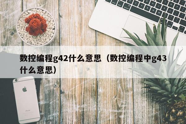 数控编程g42什么意思（数控编程中g43什么意思）