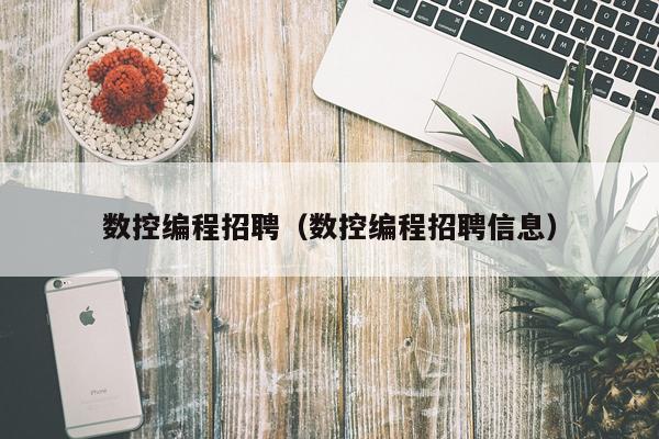 数控编程招聘（数控编程招聘信息）