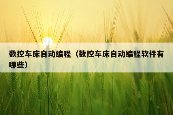 数控车床自动编程（数控车床自动编程软件有哪些）