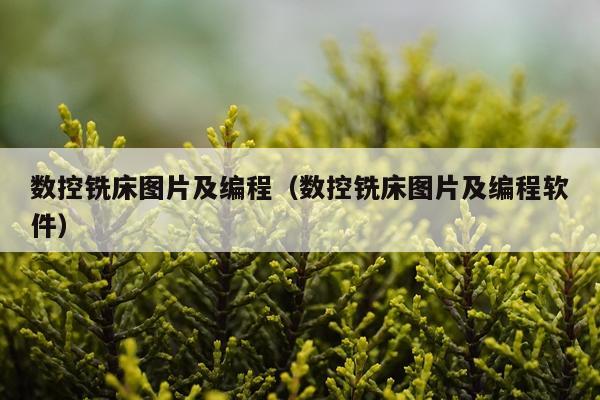 数控铣床图片及编程（数控铣床图片及编程软件）
