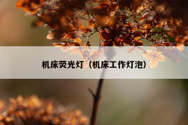 机床荧光灯（机床工作灯泡）