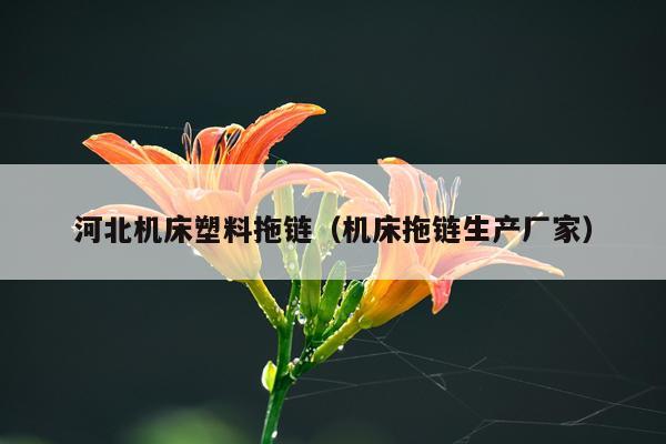 河北机床塑料拖链（机床拖链生产厂家）