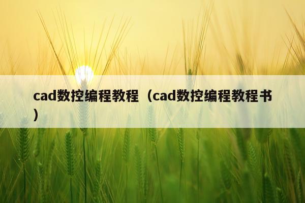 cad数控编程教程（cad数控编程教程书）